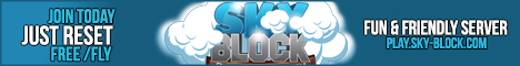 SkyBlock Server