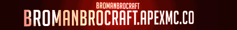 BroManBroCraft