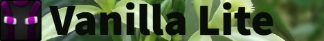 Minecraft Server