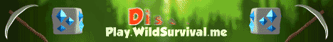 Minecraft Server