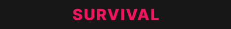 Minecraft Server