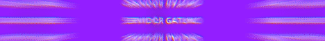 Minecraft Server