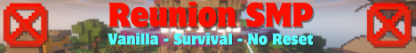 Minecraft Server