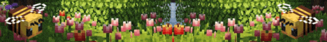 Froggos SMP