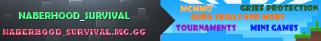 Minecraft Server