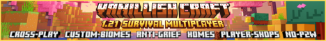 Minecraft Server