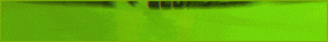 Minecraft Server