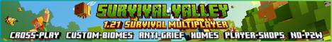 Minecraft Server
