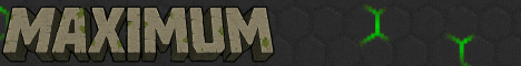 Maximum Gaming
