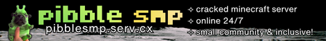 Minecraft Server