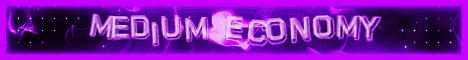 Banner for NEVERFL Minecraft server