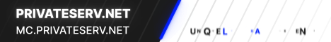 PrivateServ.NET