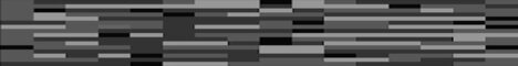 Banner for LappiSMP Minecraft server