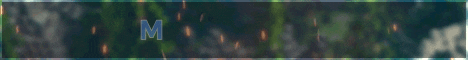 Banner for Madeira Craft Minecraft server