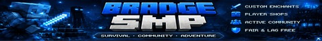 Banner for Bradge SMP Minecraft server