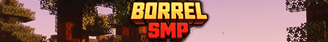 Banner for BorrelSMP Minecraft server