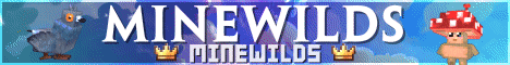 Banner for MineWilds Minecraft server