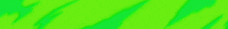 Banner for PinnaMC Minecraft server