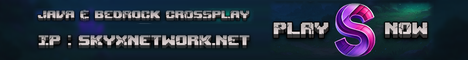 Sky X Network